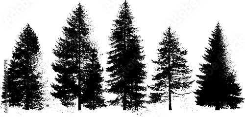 Black and white silhouette of alpine fir trees with stencil effect for nature design