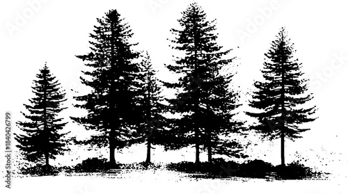 Black and white scenic alpine fir silhouettes for nature designs