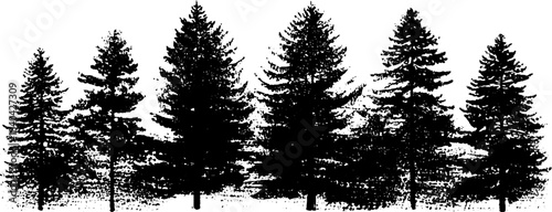 Monochromatic stencil illustration of tall pine tree silhouettes for nature-inspired designs