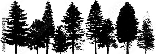 Black and white stencil illustration of tall pine tree silhouettes for nature design