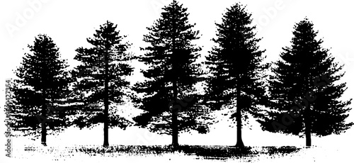 Black and white stencil art of tall pine tree silhouettes for nature-themed designs and decor