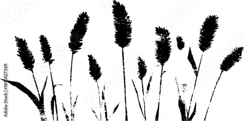 Black and white prairie grasses stencil illustration for nature designs
