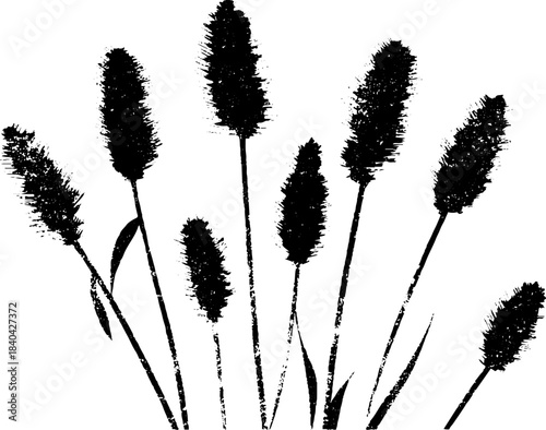 Black and white silhouette of tall prairie grasses for nature design