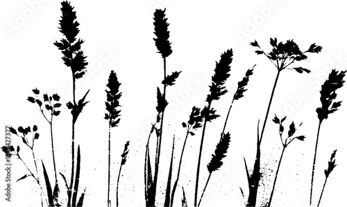 Elegant black and white stencil of tall prairie grasses for nature design