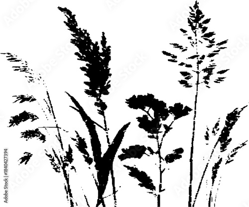 Black and white stencil art of tall prairie grasses for nature-inspired design