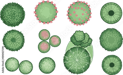 Huge Vector Set of Botanical Illustrations: Flowering Bushes, Topiary, Hedges, and Landscape Architectural Symbols for Garden Design