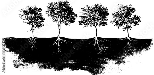 Black and white stencil of tall saplings with roots for urban art design