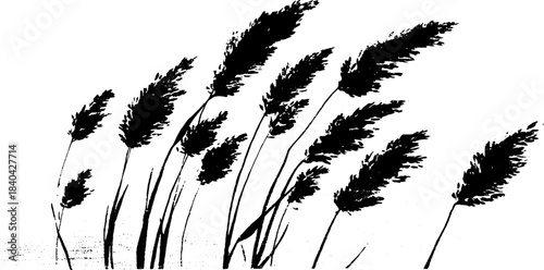 Black and white stencil of tall steppe grasses for nature designs
