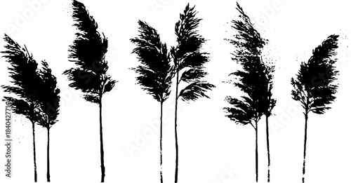 Black and white stencil illustration of tall winter reeds for nature-inspired designs