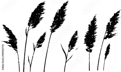 Black and white stencil illustration of tall steppe grasses for nature art design