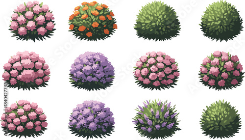 Large Botanical Vector Set of Detailed Flowering Shrubs, Topiary Bushes, and Garden Hedges for Landscape Design Elements