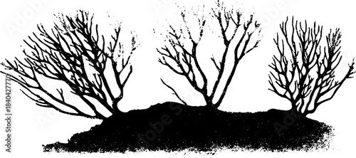 Intricate black and white stencil of dense forest tangle for design projects