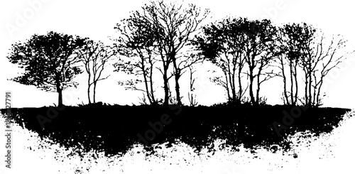 Black and white stencil of tangled forest underbrush for nature themed design