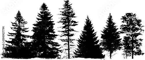 Black and white tangled forest silhouette for nature illustration design