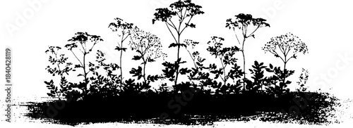 Black and white hedgerow silhouette stencil art illustration for urban design