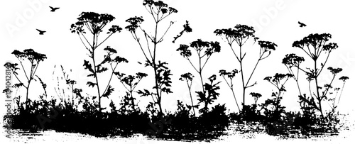 Black and white stencil illustration of thick hedgerow silhouette with birds