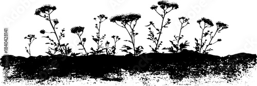 Black and white silhouette of thick hedgerow stencil illustration for nature design