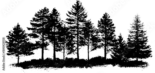 Black and white silhouette of pine trees in a hedgerow for illustration and design