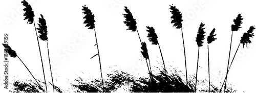 Black and white reeds stencil art for nature themed design