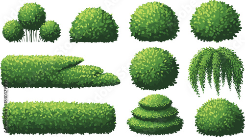 Set of Green Garden Shrubs and Shaped Bushes in Various Topiary Styles Isolated on White Vector Illustration for Landscape Design