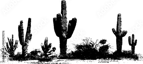 Black and white thorny desert cactus stencil illustration for urban design and decor