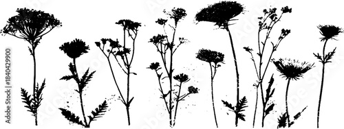 Black and white stencil of tiny alpine flowers for nature design and decoration