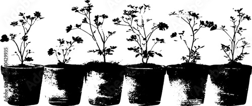 Black and white stencil illustration of seedlings in pots for urban art and design