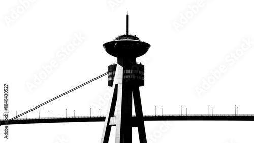 cable bridge over the river