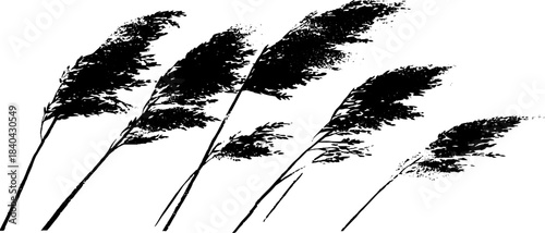 Black and white stencil of twisting reed stems for artistic design