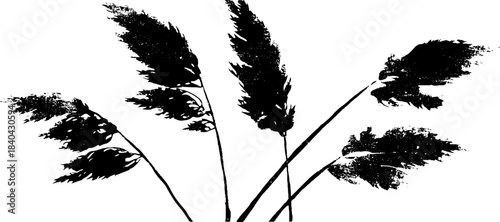 Black and white stencil illustration of twisting reed stems for nature art design
