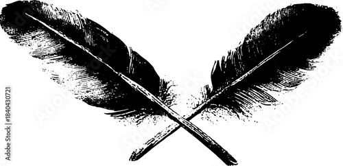Black and white stencil illustration of crossing feathers for art and design