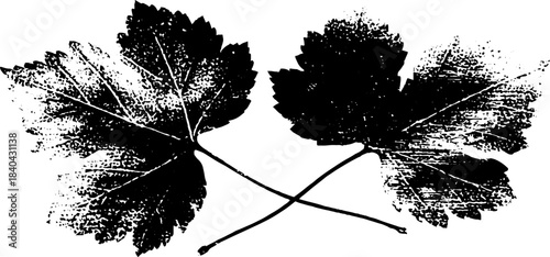 Black and white stencil illustration of overlapping leaves for nature-themed designs