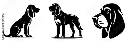 Bloodhound Silhouette Trio: Elegant Poses in Black and White.