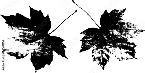 Black and white stencil leaves illustration for design and decor