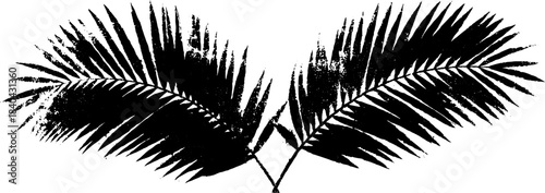 Tropical palm leaf silhouette stencil with black and white grunge effect for creative design