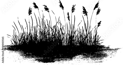 Black and white stencil illustration of underwater shadows with tall grass