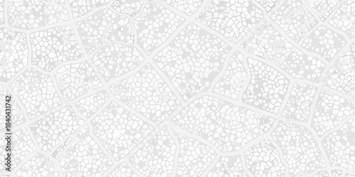 Delicate skeleton leaf texture with intricate vein patterns on a white background