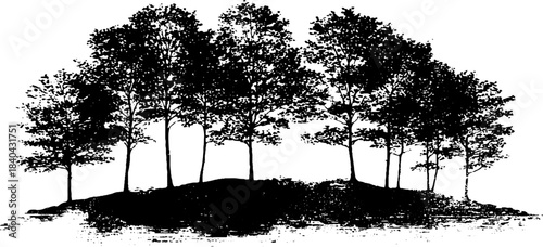 Black and white stencil of woodland trees on hilltop for art and design