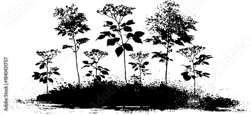 Black and white woodland bramble stencil illustration for nature design