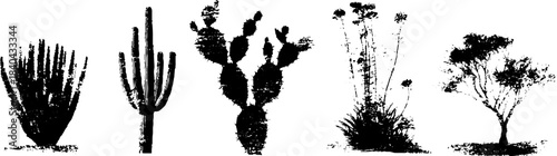 Black and white stencil illustration of wild desert shrubs for nature and design projects