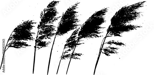 Black and white stencil illustration of wild grain stalks in wind for creative design