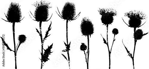 Black and white stencil illustration of wind-blown tall thistles - nature art design for posters and prints
