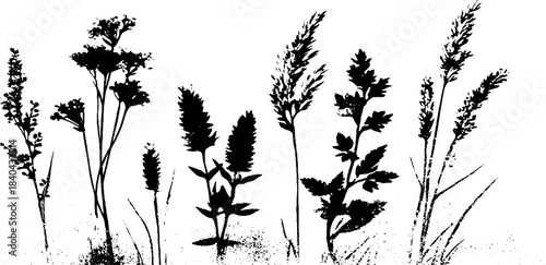 Windswept field grass in black and white stencil art for nature decor