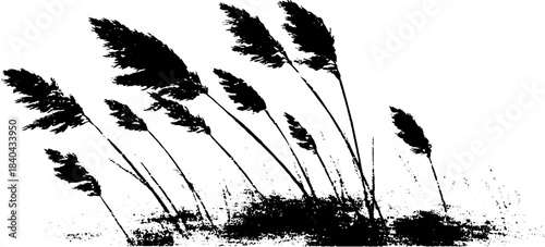 Windswept field grass silhouette in black and white stencil illustration
