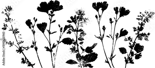 Monochrome stencil art of windswept heath patterns for design and decoration