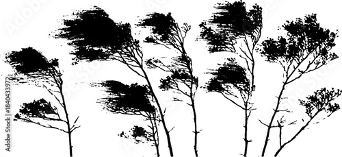 Black and white stencil of windswept heathland trees with grass silhouette for nature design