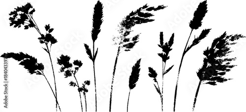 Windswept heath pattern: black and white stencil illustration for nature-inspired designs