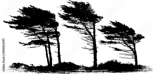 Windswept heathland landscape in black and white stencil illustration