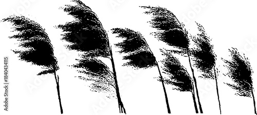 Black and white stencil of windswept reeds silhouette for nature design