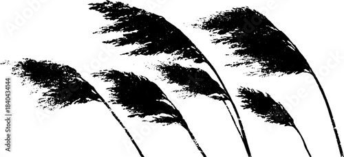 Black and white stencil of windswept grass in savanna setting for art and design